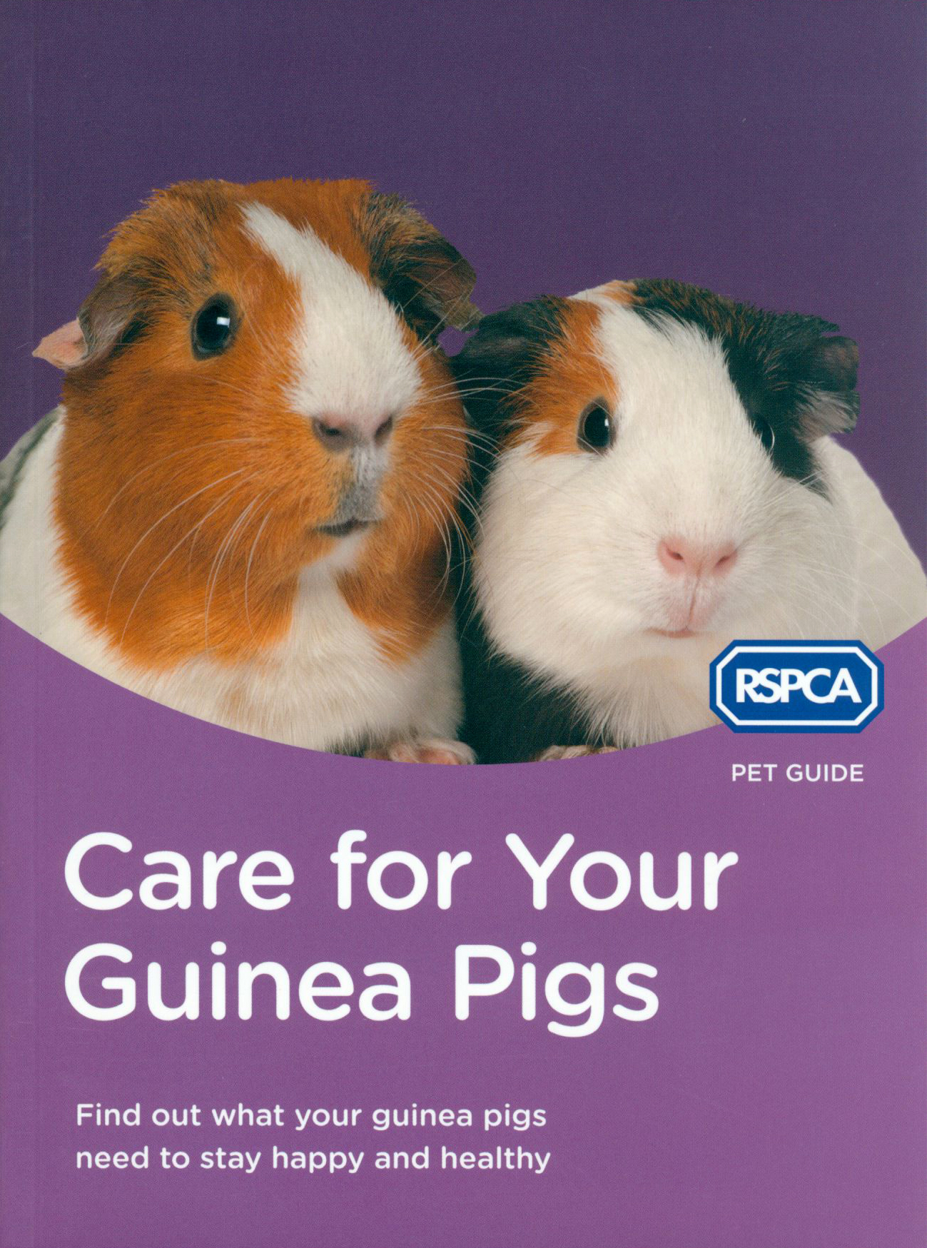 

Care for Your Guinea Pigs