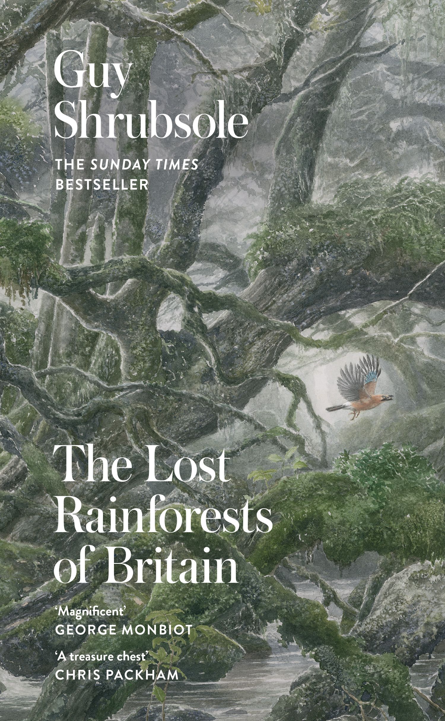 

The Lost Rainforests of Britain