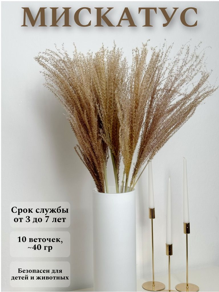 

Мискатус сухоцветы для декора 10 веточек, Коричневый, мискатус