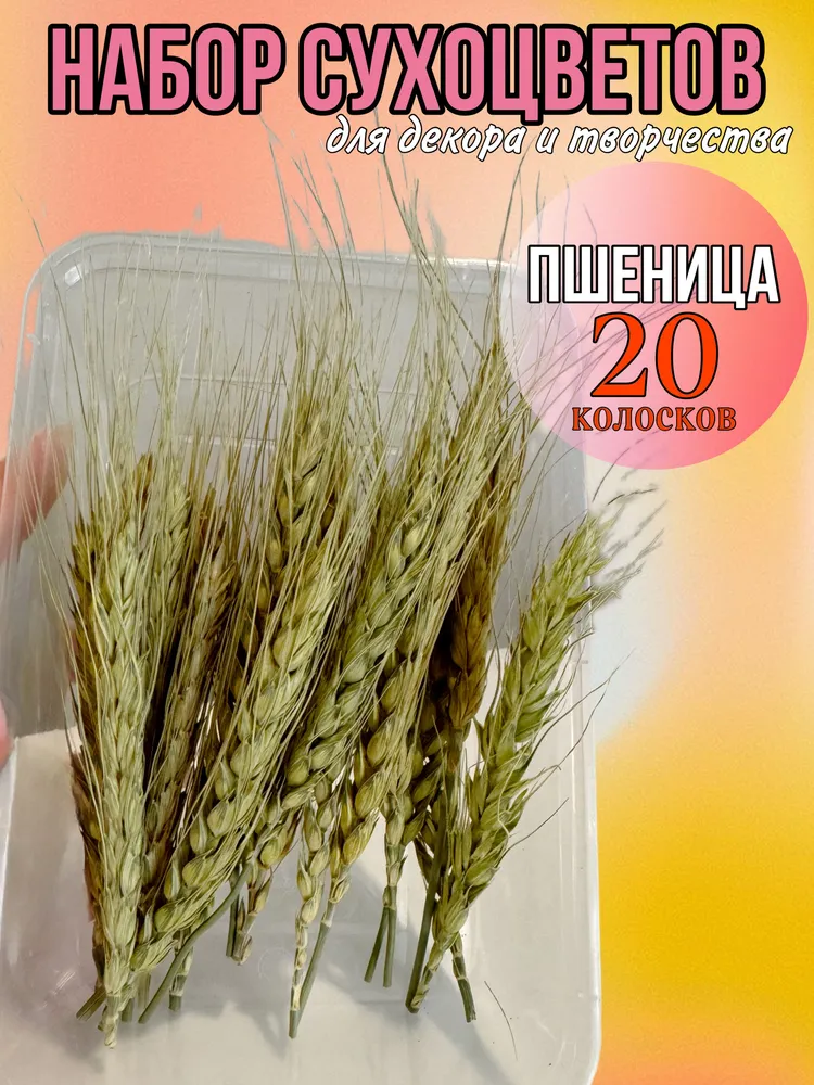 

Колосья пшеницы для декора и творчества, Бежевый, наборы эвкалипт