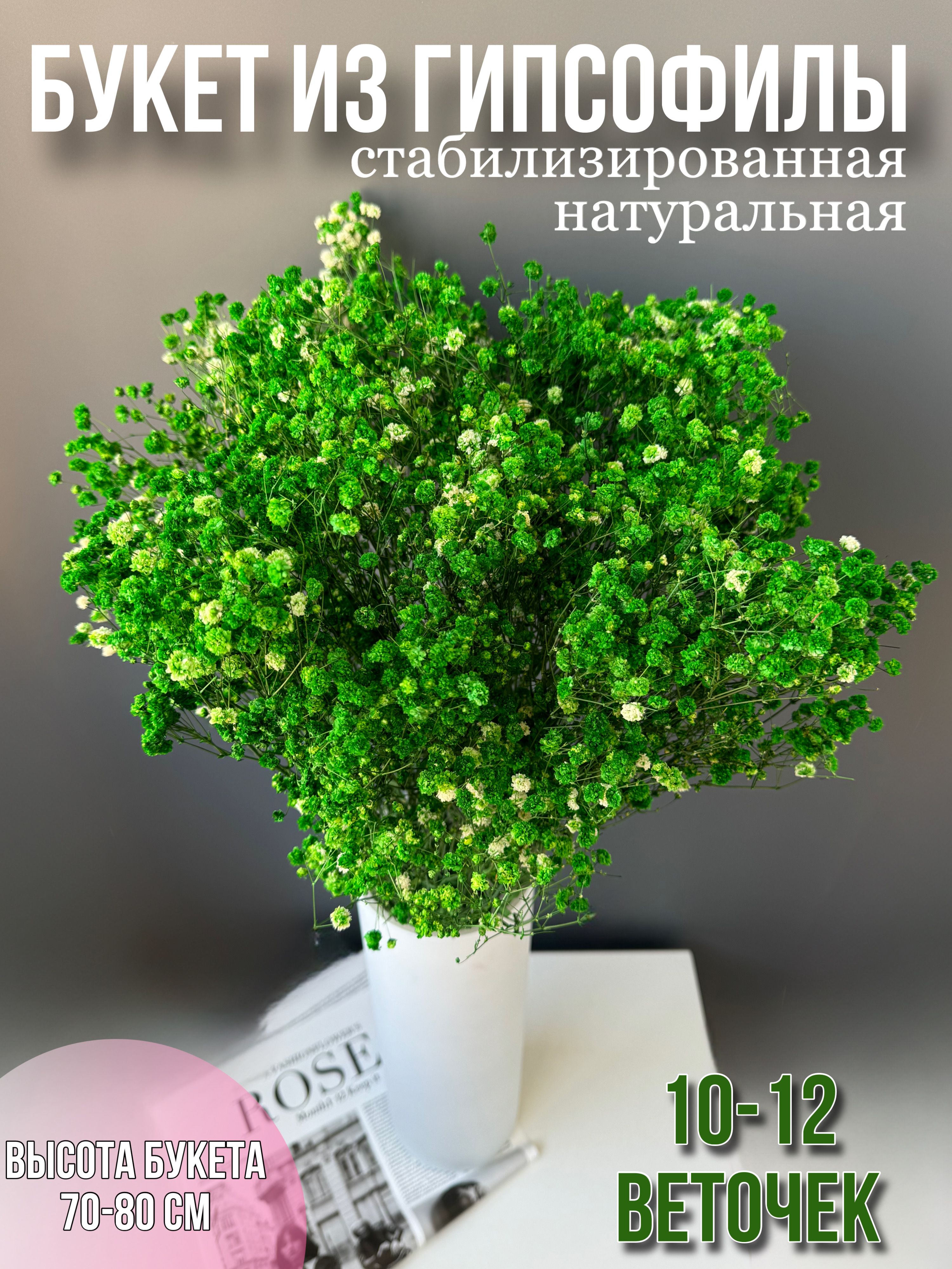 

Гипсофила букет натуральные сухоцветы для декора высокие, Зеленый, букет 10-12