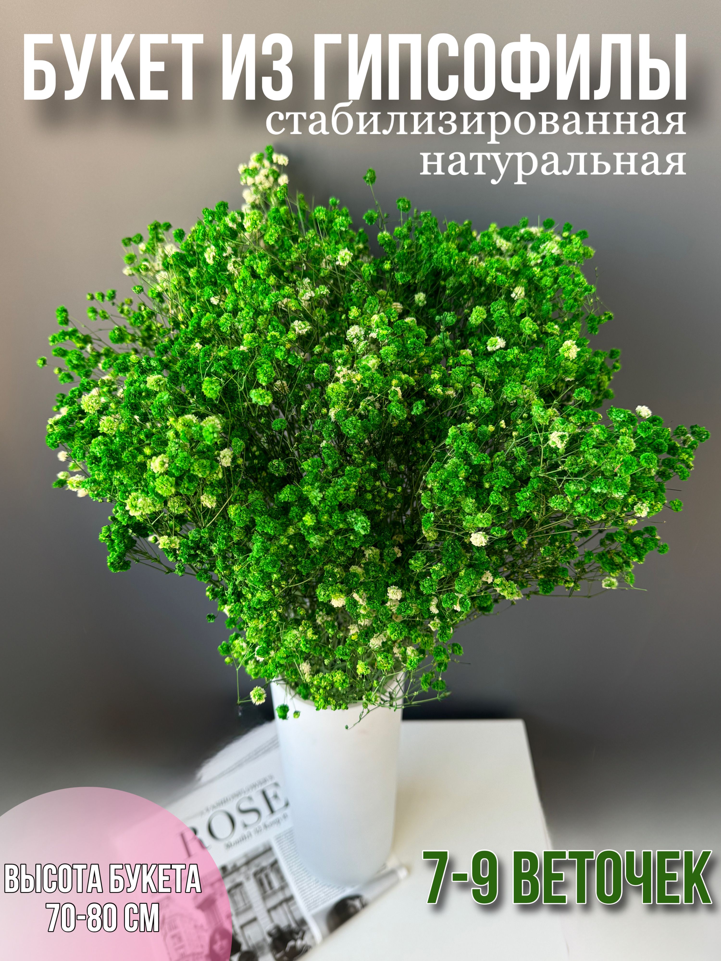 

Гипсофила букет натуральные сухоцветы для декора высокие, Зеленый, Гипсофила 7-9