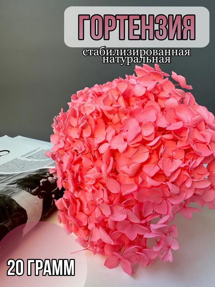

Гортензия стабилизированная, розовый, 20 гр, гортензия