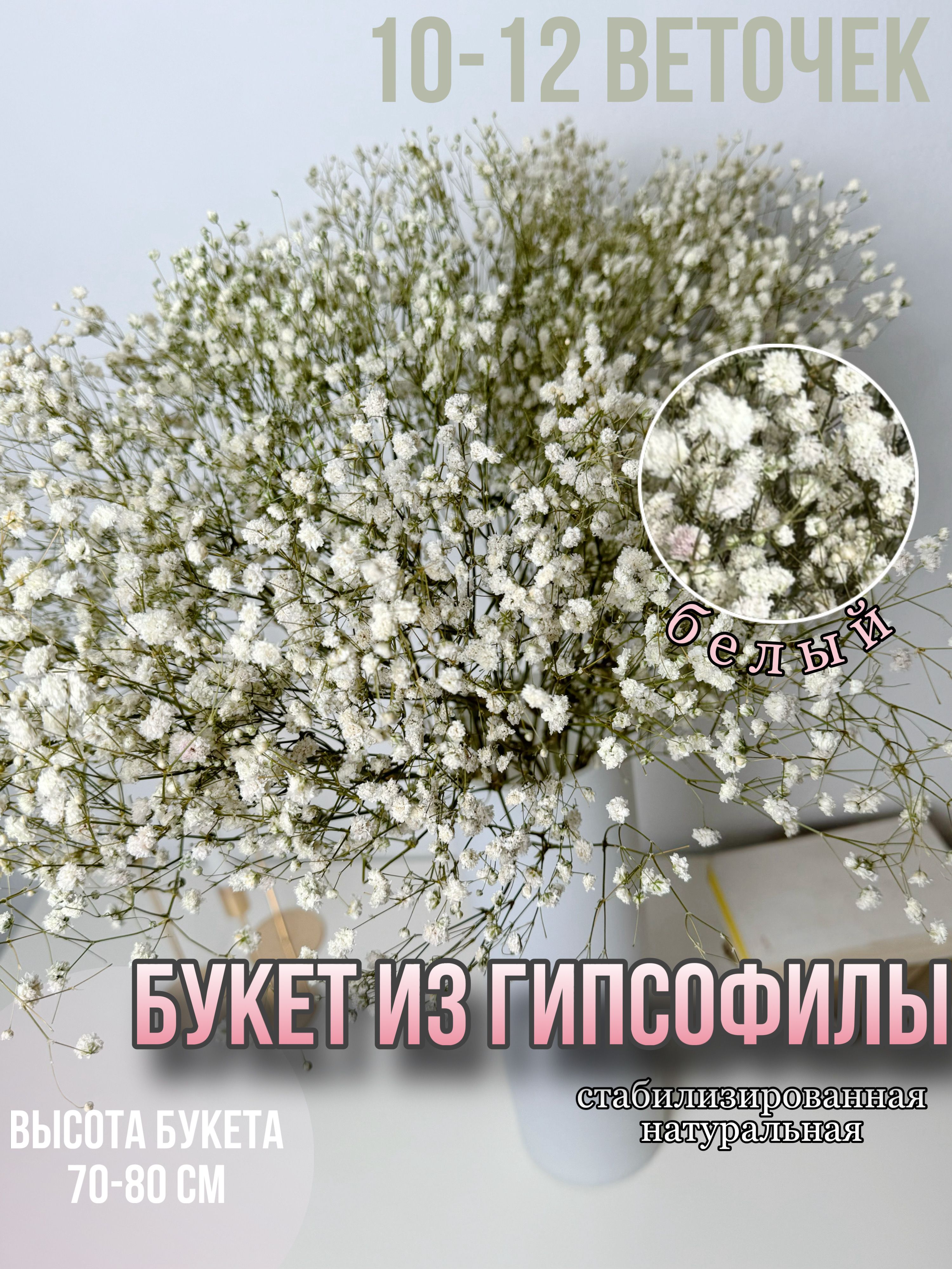 

Гипсофилы букет сухоцветы для декора цветы стабилизированные, Белый, букет 10-12
