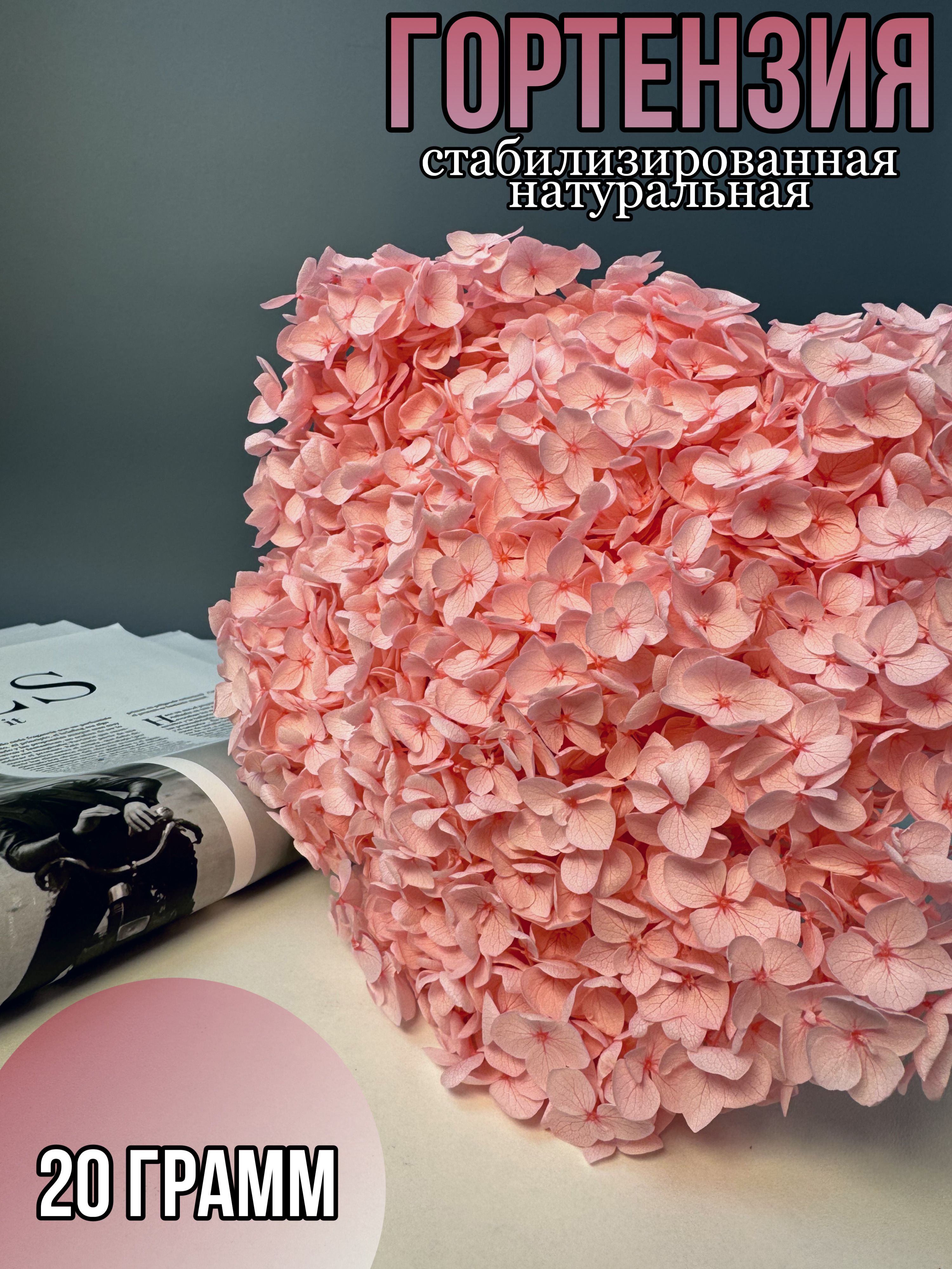 

Сухоцветы для декора Гортензия стабилизированная, Розовый, гортензия