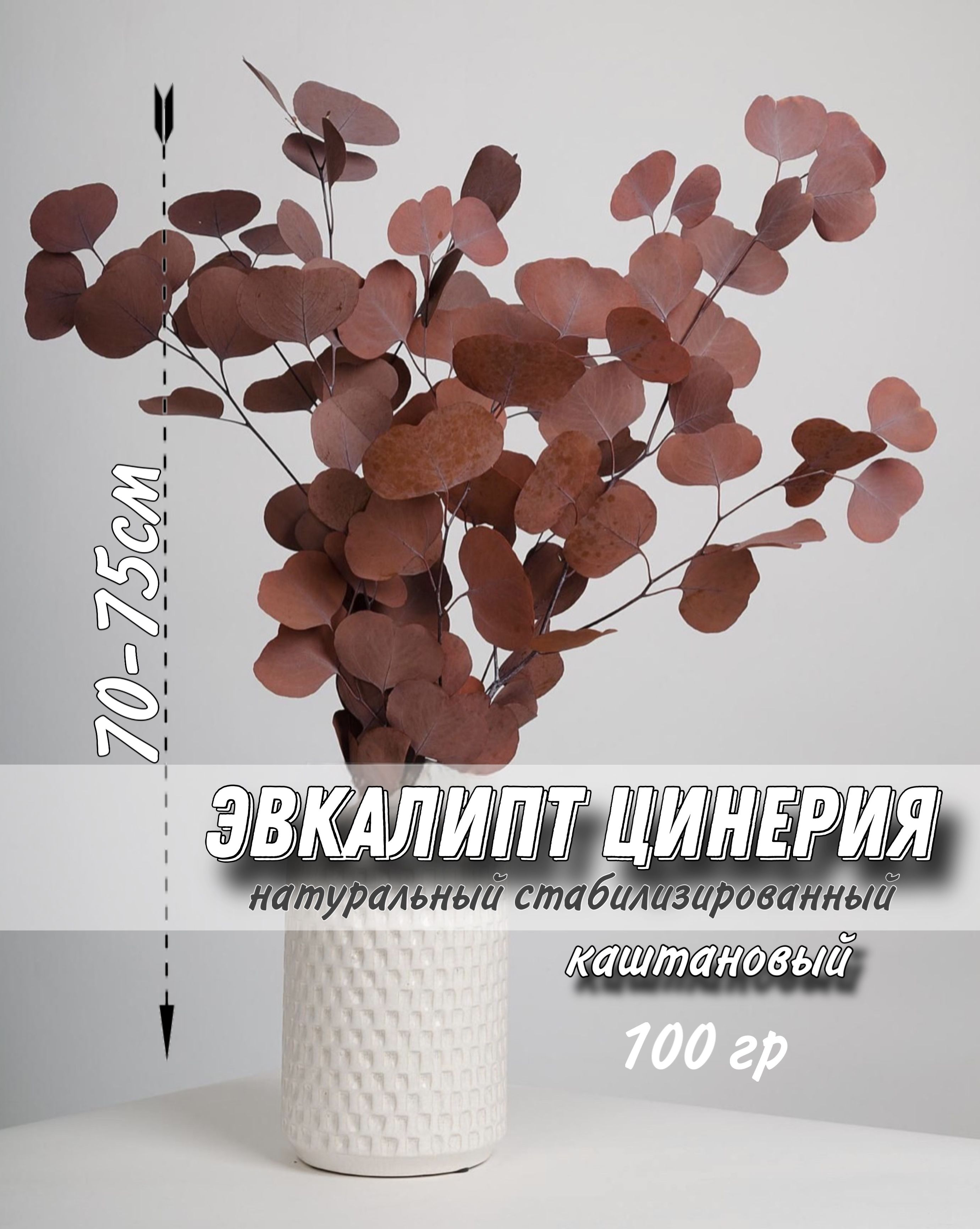 

Натуральные стабилизированные сухоцветы эвкалипт декора, Красный, эвкалипт цинерия