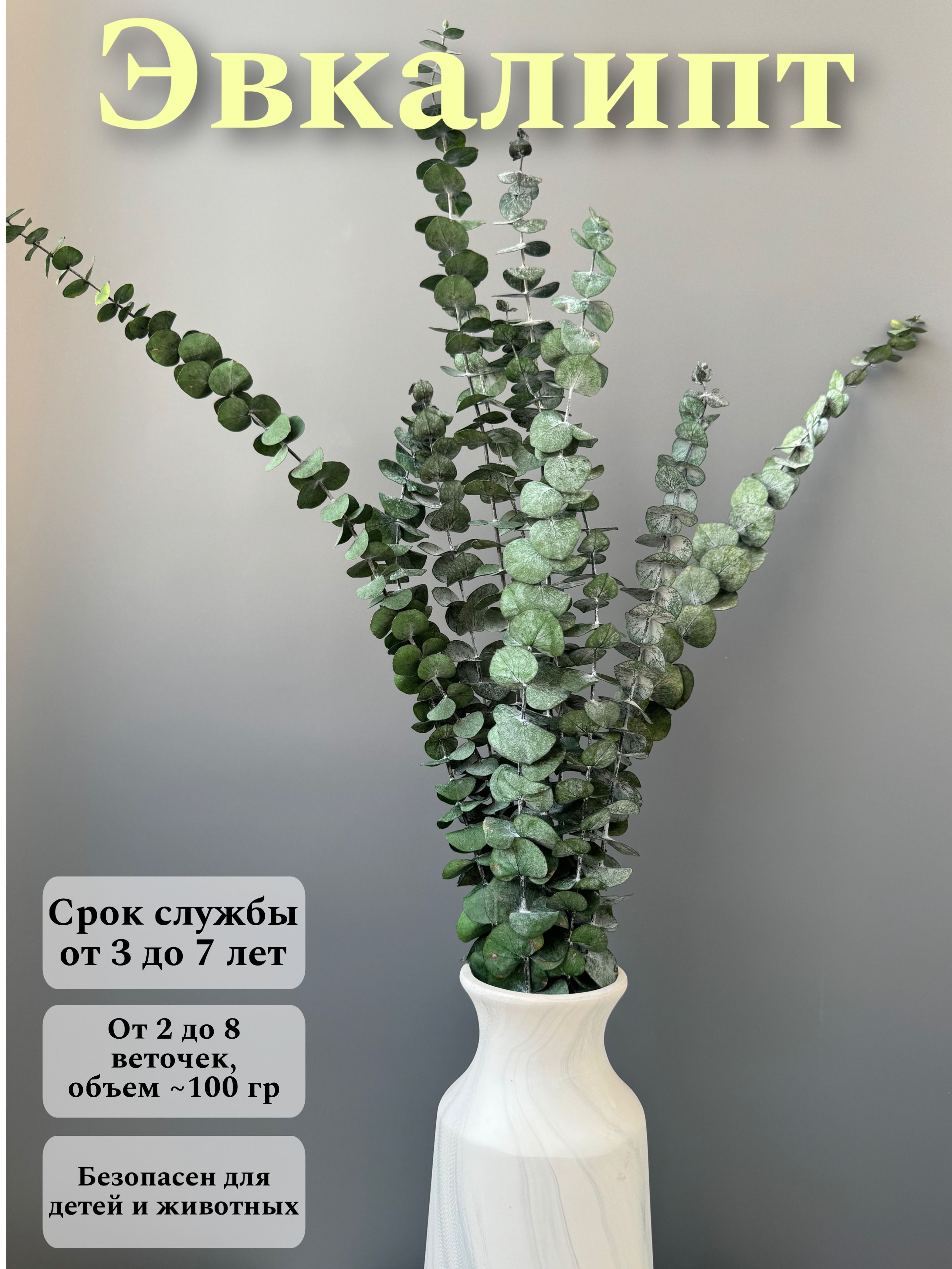 

Эвкалипт Бэби-блю стабилизированный сухоцвет для декора, Зеленый, эвкалипт бэби