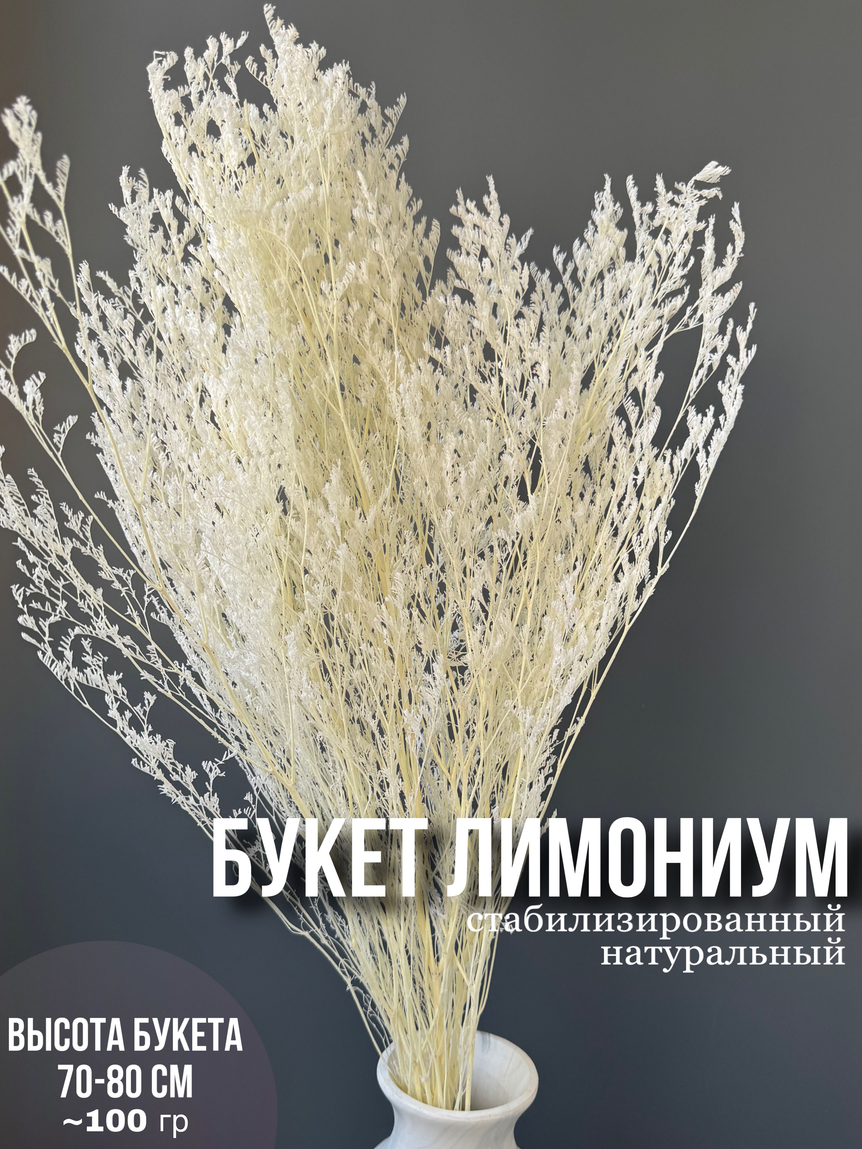 

Лимониум стабилизированный сухоцвет для декора, Белый, лимониум
