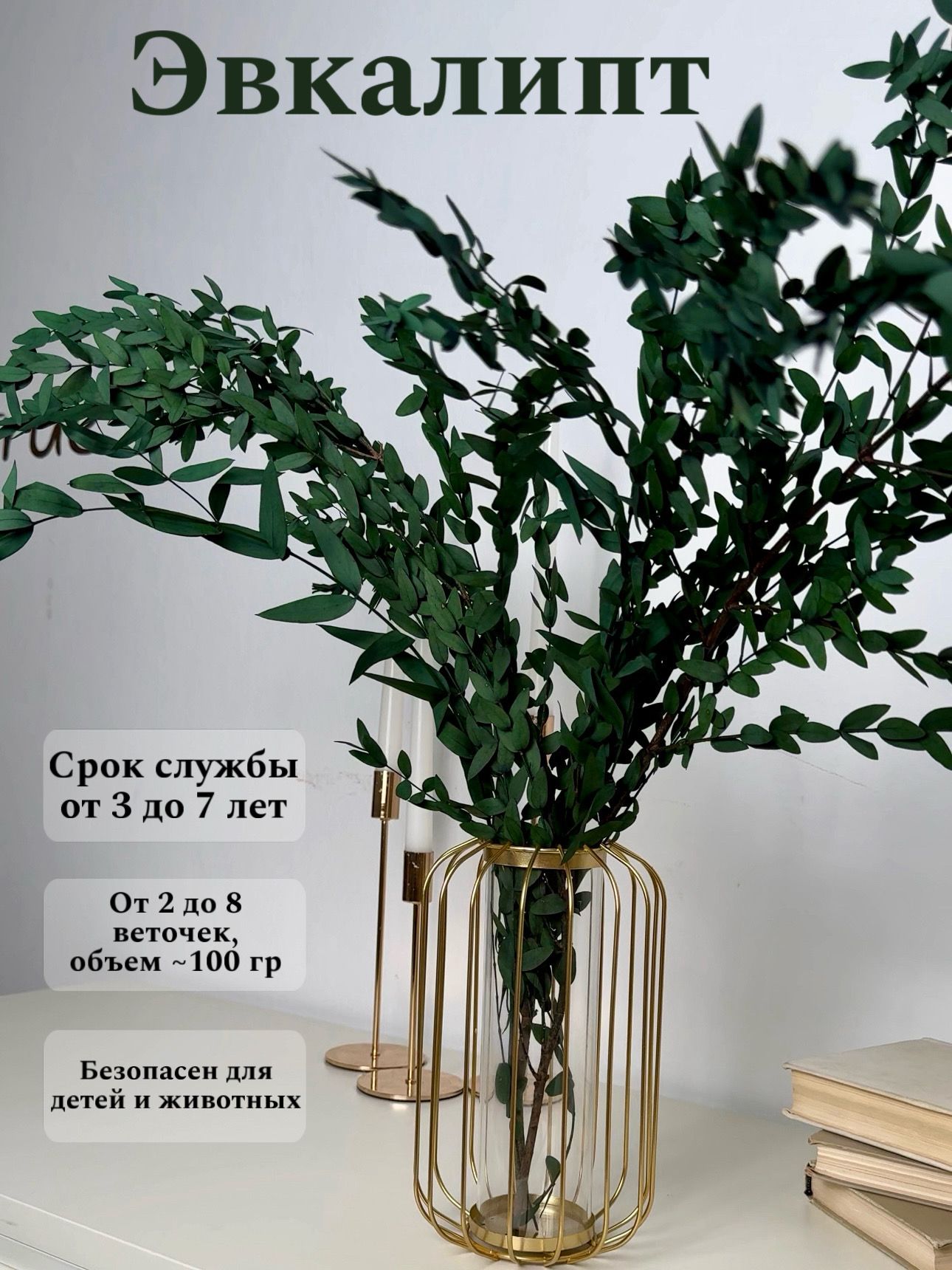 

Натуральные стабилизированные сухоцветы эвкалипт декора, Зеленый, эвкалипт парви