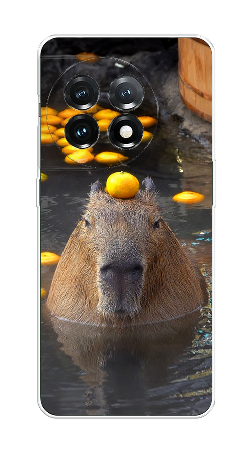 

Чехол на OnePlus 11 "Капибара отдыхает", Коричневый;оранжевый;серый, 153650-1