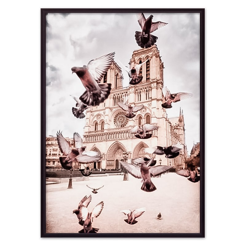 

Постер в рамке Голуби Нотр-Дам 40х60 см