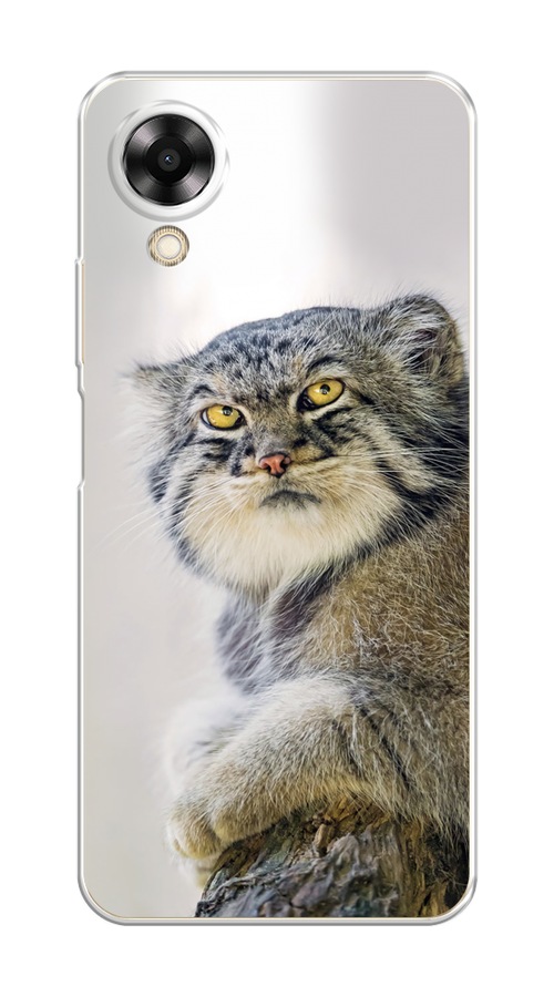 

Чехол на Oppo A17K "Кот манул 1", Серый;белый;желтый, 2512850-1