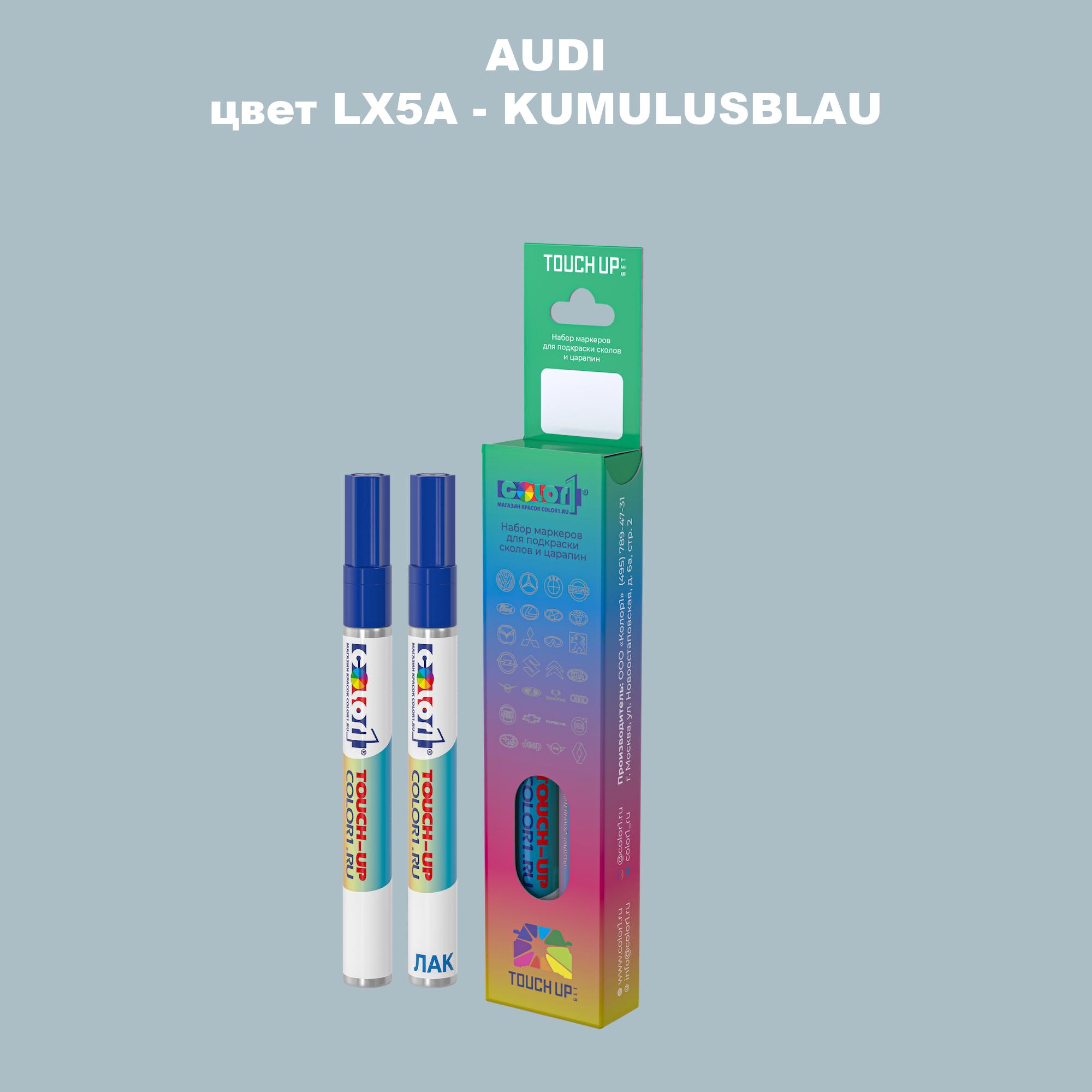 

Маркер с краской AUDI, цвет LX5A - KUMULUSBLAU, Прозрачный