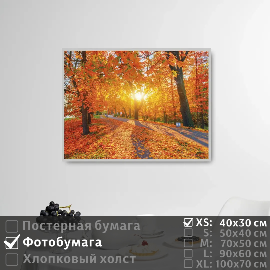 

Постер на фотобумаге ПолиЦентр Рассвет в осеннем парке 40х30 см, РассветВОсеннемПарке