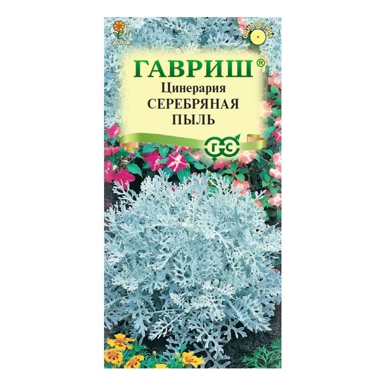 Семена Гавриш Цинерария Серебряная пыль (приморская) 0,05 г