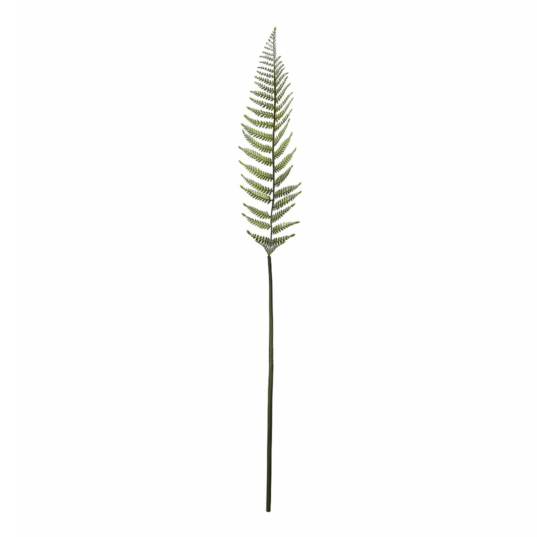 фото Искусственное растение лист dpi fern зеленый 149 см