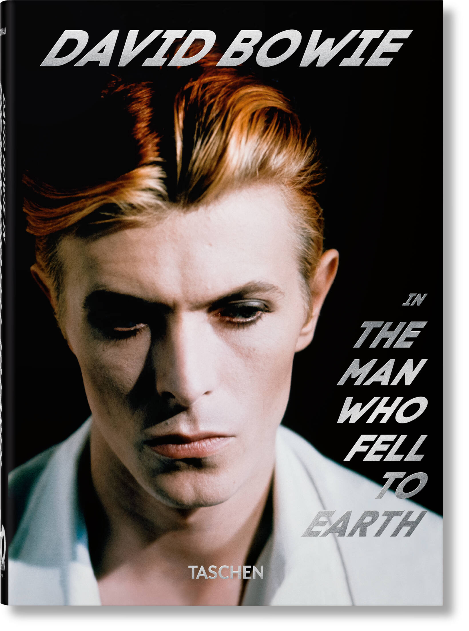 

David Bowie The Man Who Fell to Earth