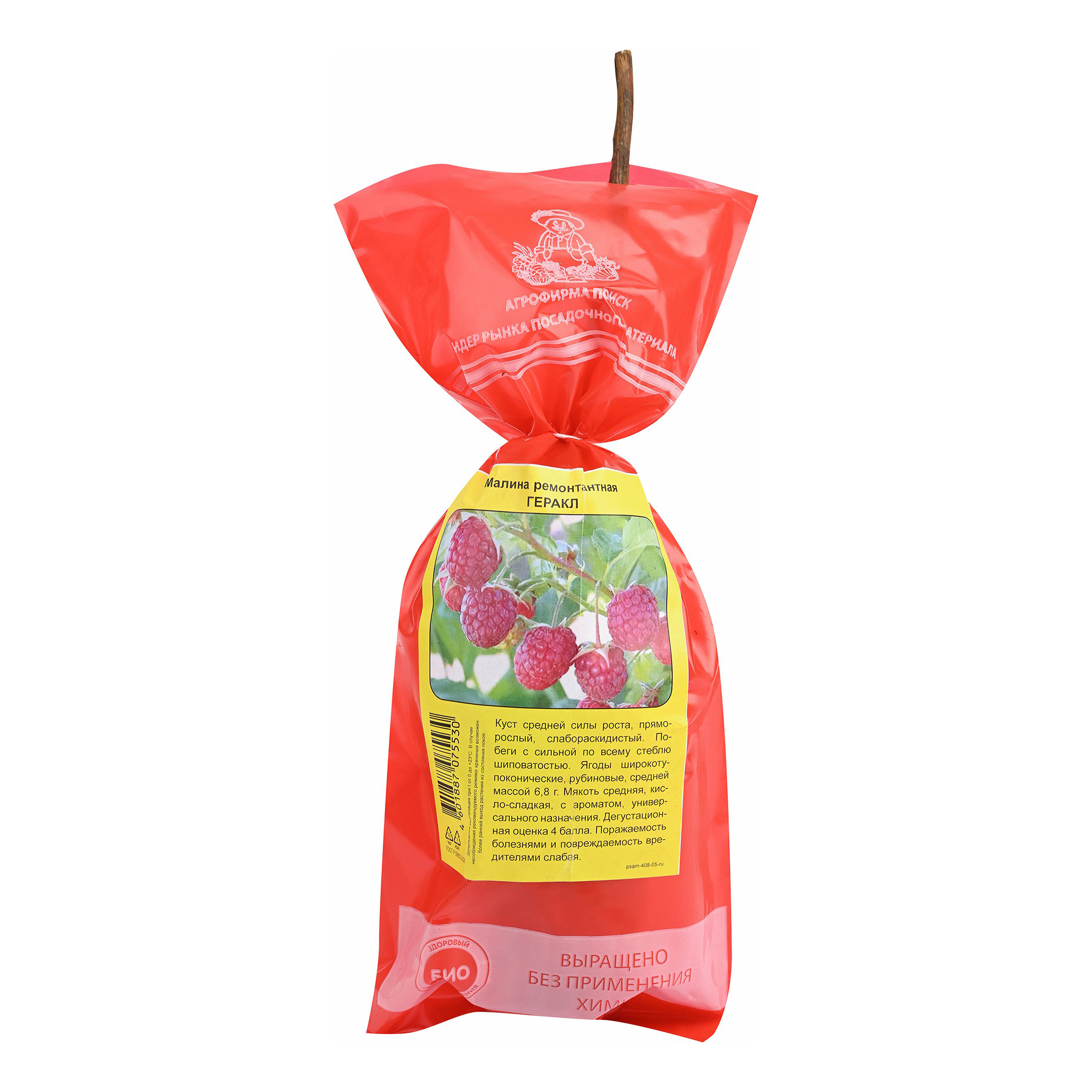 

Малина ремонтантные сорта