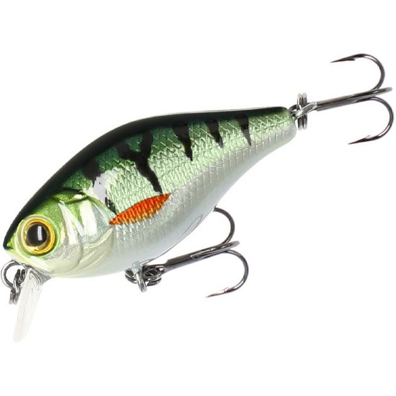 

Воблер Mikado BOLD HEAD RAINBOW TROUT - плавающий, 1 м., 4 см., 2,5 г., Зеленый;серебристый, Bold Head Rainbow Trout
