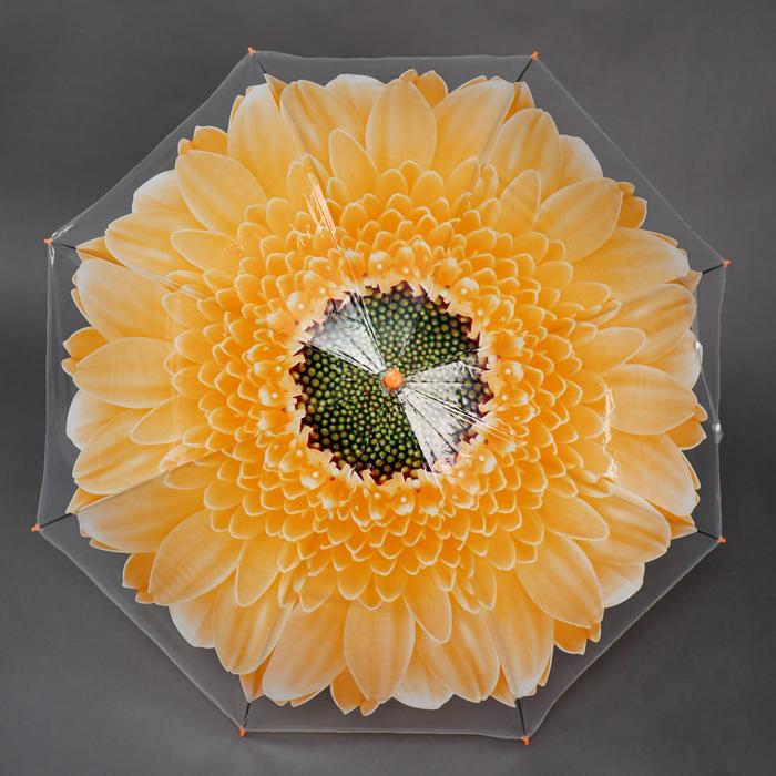 

Зонт полуавтоматический, Gerbera, 8 спиц, R 45 см, 1469009