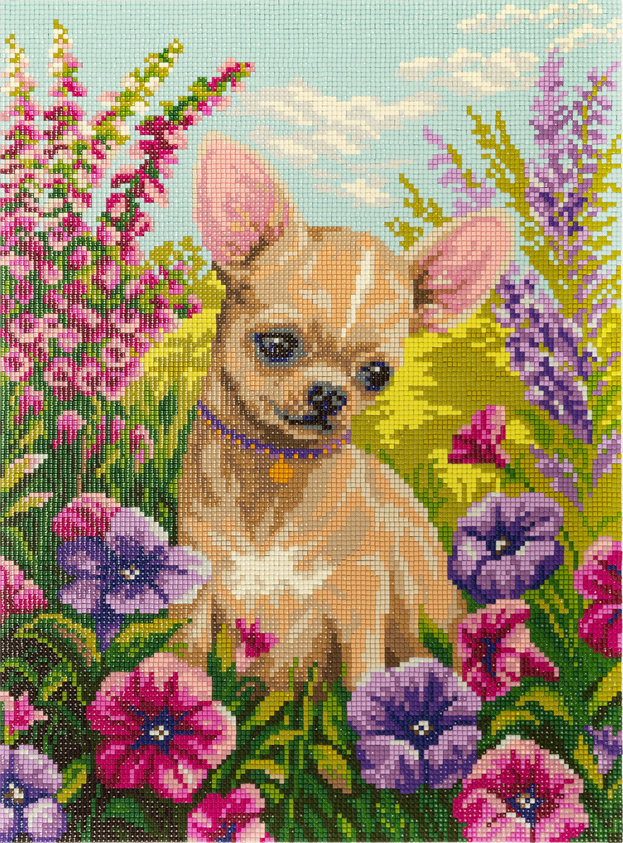 

Алмазная вышивка Фрея ALVR-302 Чихуахуа 30x40