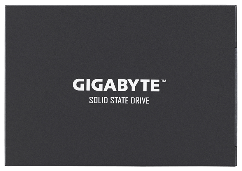 

SSD диск GIGABYTE UD PRO 256ГБ (GP-GSTFS30256GTTD), UD PRO