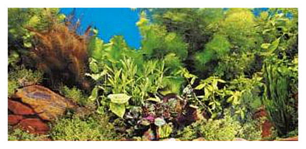 Фон для аквариума Hagen двухсторонний скалисто-растительный/голубой, 30x10 см