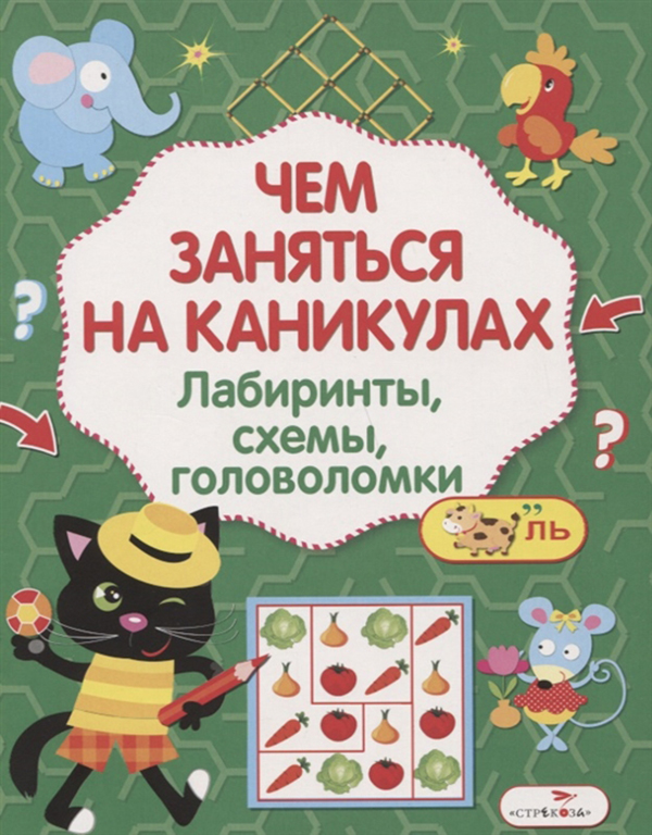 фото Чем заняться на каникулах? лабиринты, схемы, головоломк и вып. 6. стрекоза