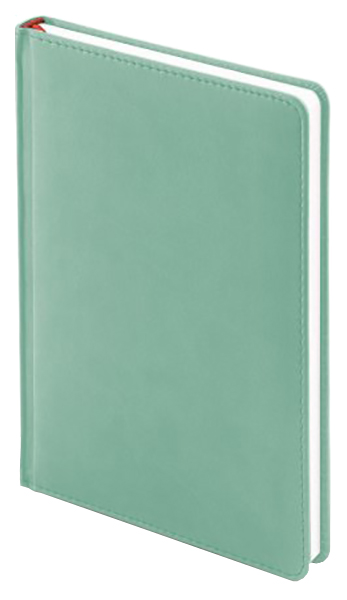 

Ежедневник Bruno Visconti 3115-33 Velvet недатированный A5+