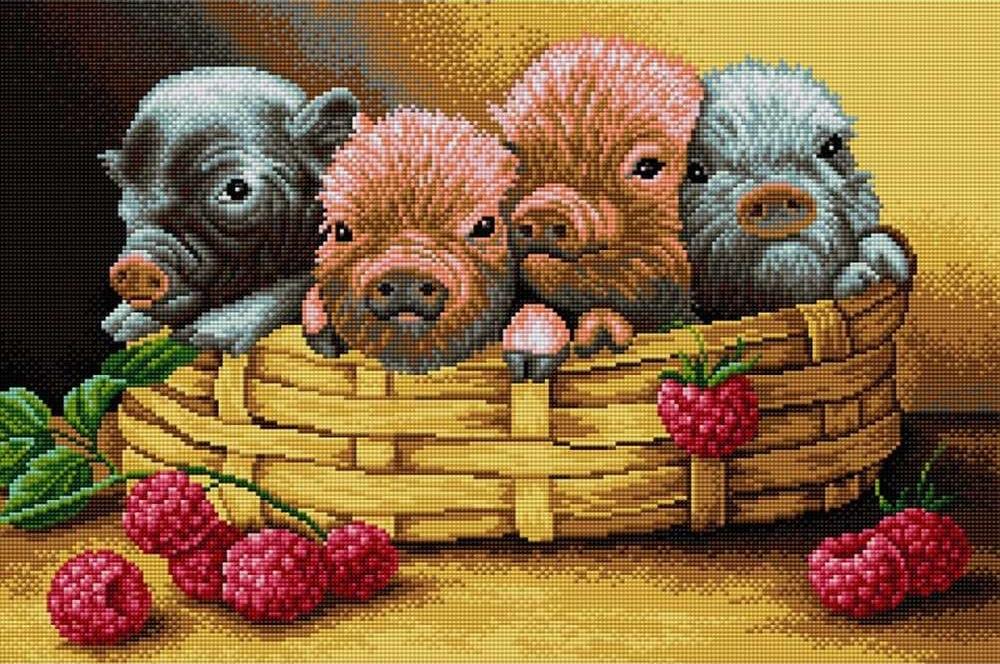 

Алмазная вышивка Вышиваем бисером Поросята, 40x60 см, Поросята