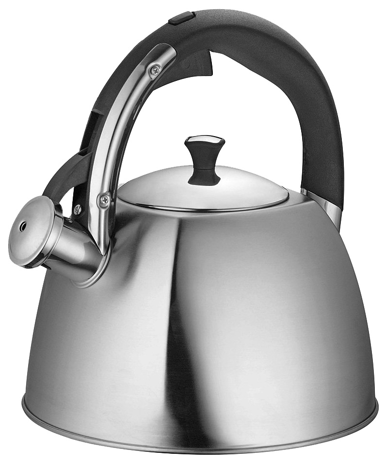 Чайник для плиты Regent 93-TEA-30 3 л