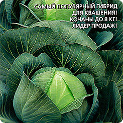 

Семена Капуста белокочанная Ринда F1, 0,1 г, Уральский дачник, 187548