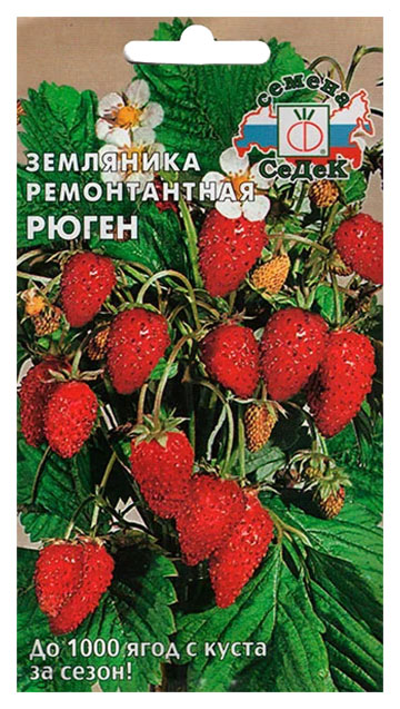 

Семена земляника СеДеК Рюген 139654 1 уп.