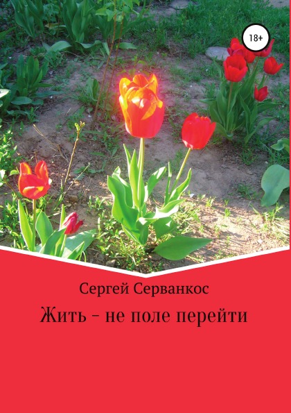 фото Книга жить - не поле перейти, сборник литрес