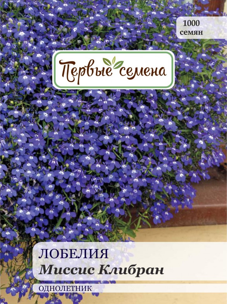 

Семена цветов Первые семена Лобелия миссис Клибран, 0,05 г