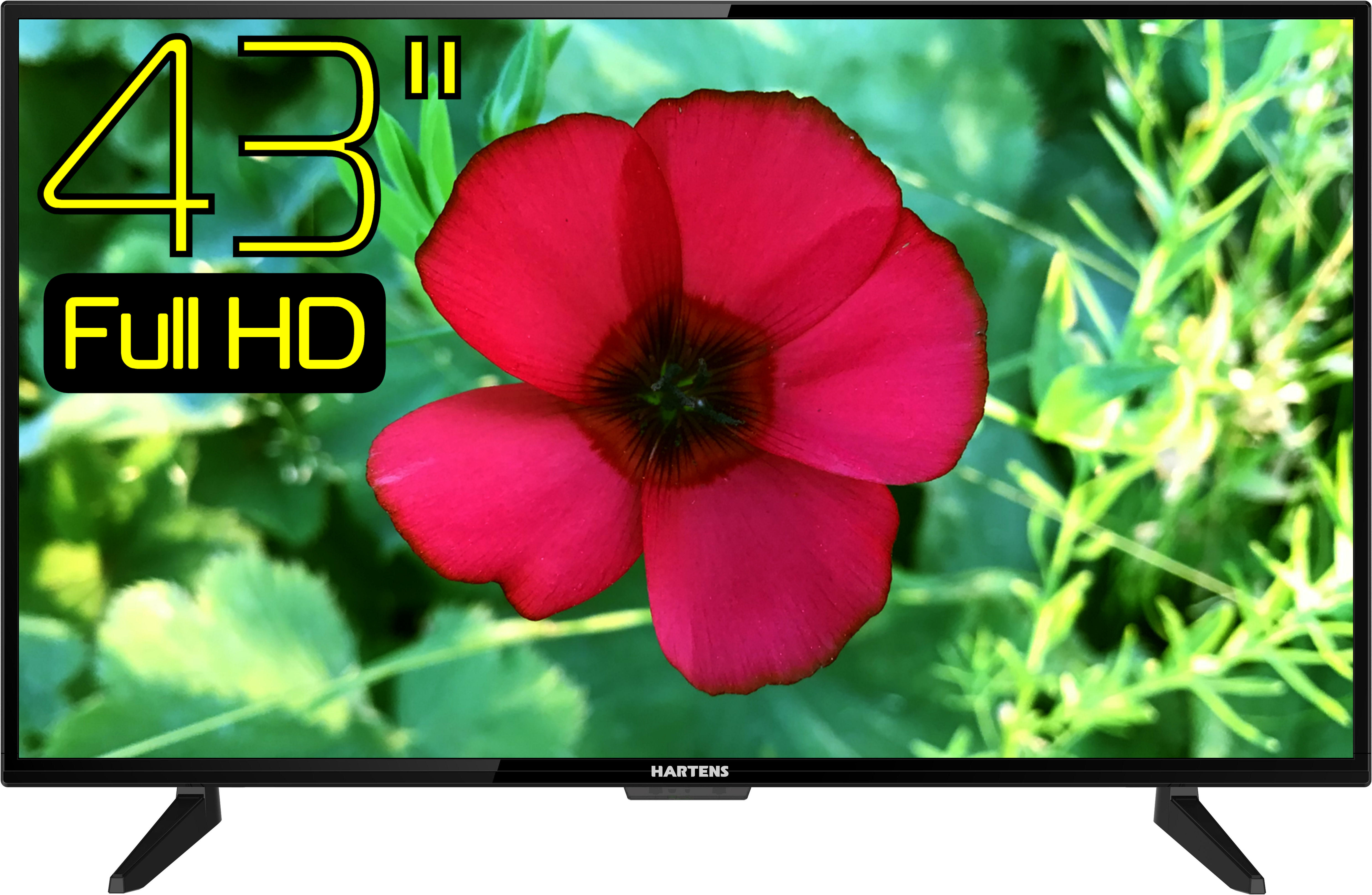 

LED телевизор Full HD Hartens HTV-43FHD03B, HTV-43FHD03B