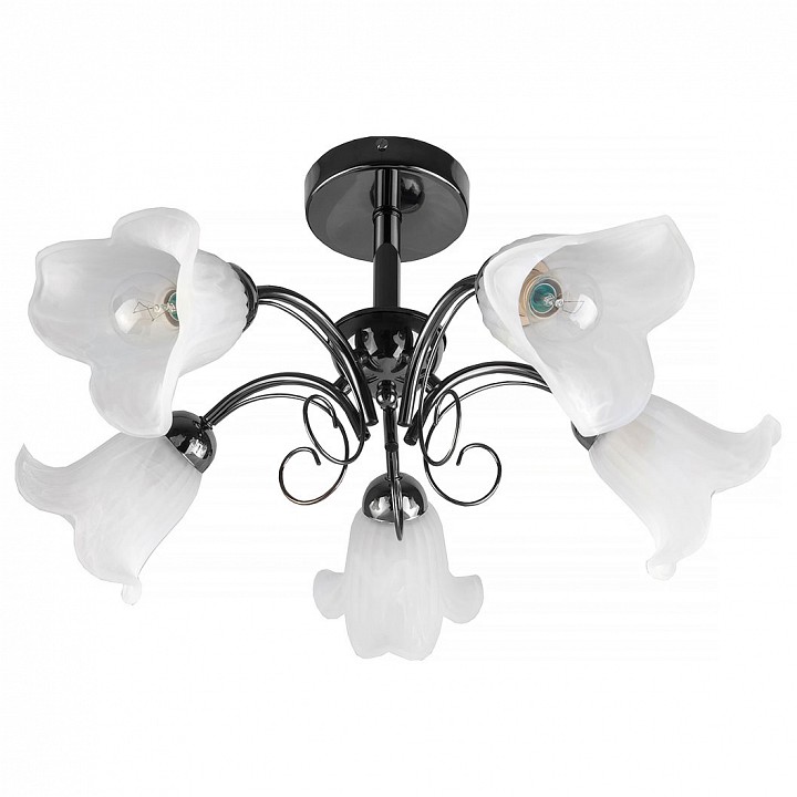 

Люстра потолочная TopLight TL3490X-05BC