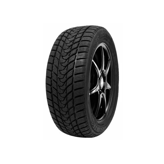 Шины Delinte Winter WD1 245/45 R19 98S