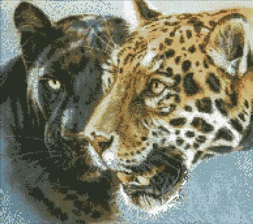 

Алмазная вышивка Паутинка Грация и сила, 45x40 см, Грация и сила