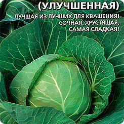 

Семена Капуста белокочанная Теща Золотая (улучшенная), 0,3 г, Уральский дачник, 187556