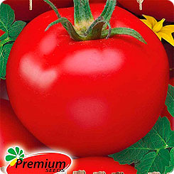 

Семена Томат Бордо Сахарный F1, 0,05 г, Premium seeds, 197932