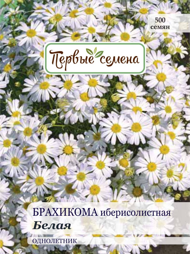 

Семена цветов Первые семена Брахикома иберисолистная белая, 0,2 г