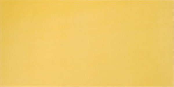 

Плитка Pamesa AGATHA AMARILLO 25x50 1 м2, Agatha