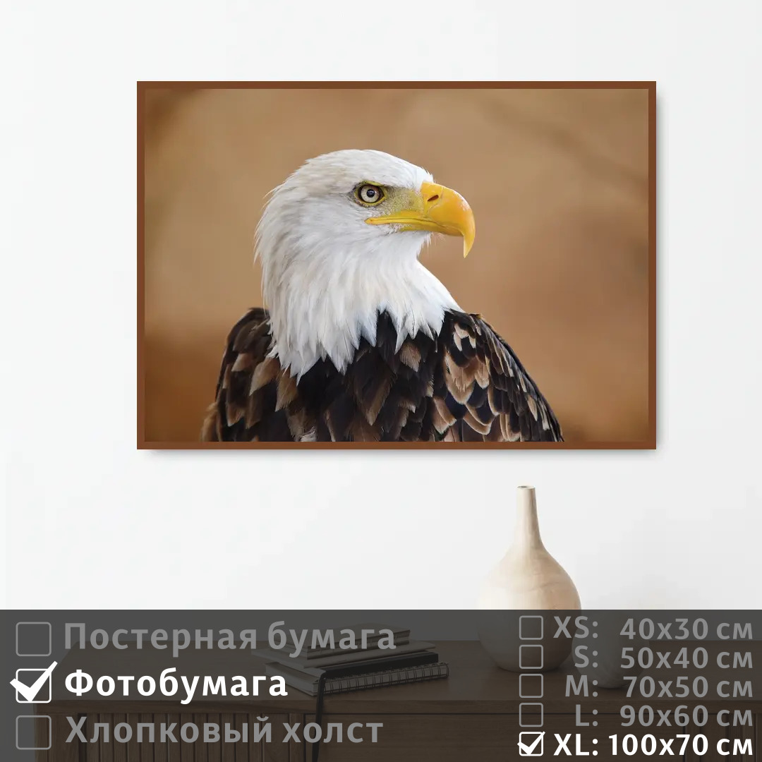 

Постер на фотобумаге ПолиЦентр Белоголовый орел 100х70 см, БелоголовыйОрел1