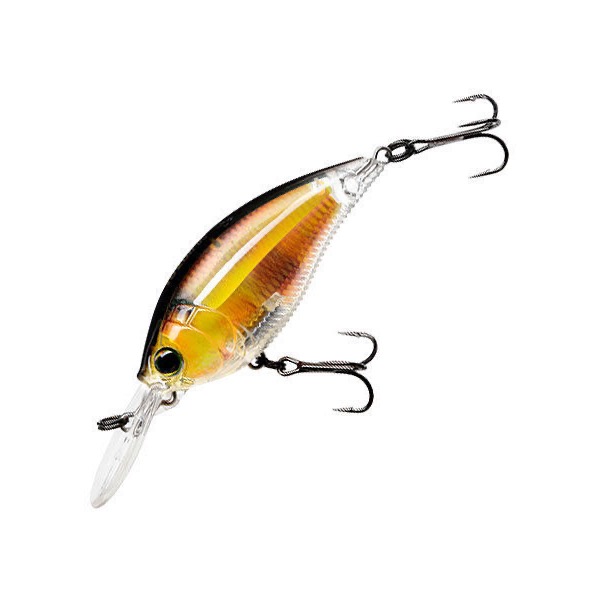 

Воблер R1318 RGSN Yo Zuri 3DR MID CRANK 70F, Черный;золотистый;оранжевый