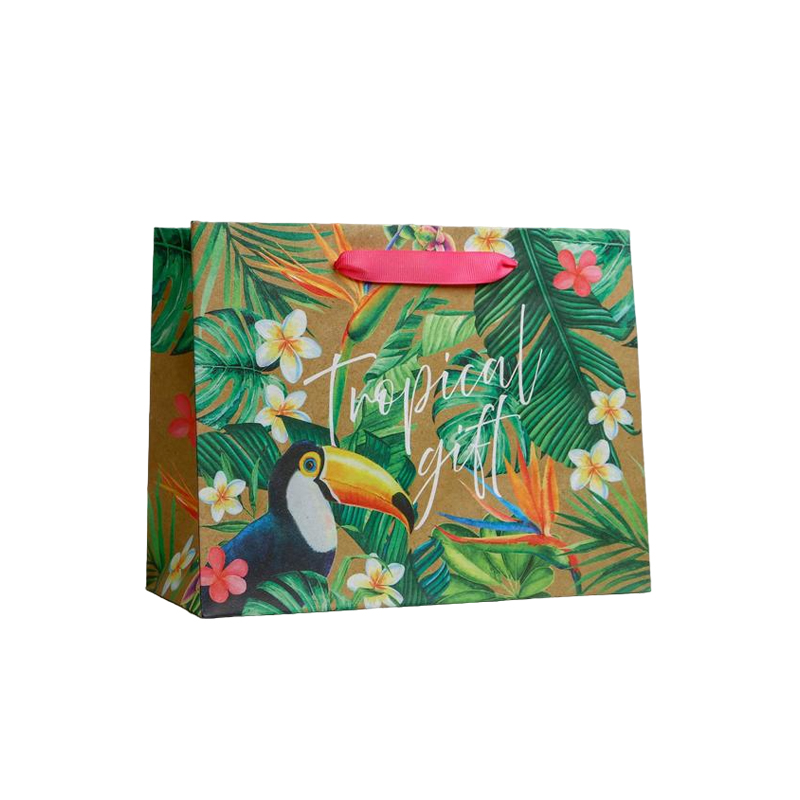 

Пакет крафтовый горизонтальный Дарите Счастье Tropical Gift 23*18*10 см 4783268 1 шт, Разноцветный