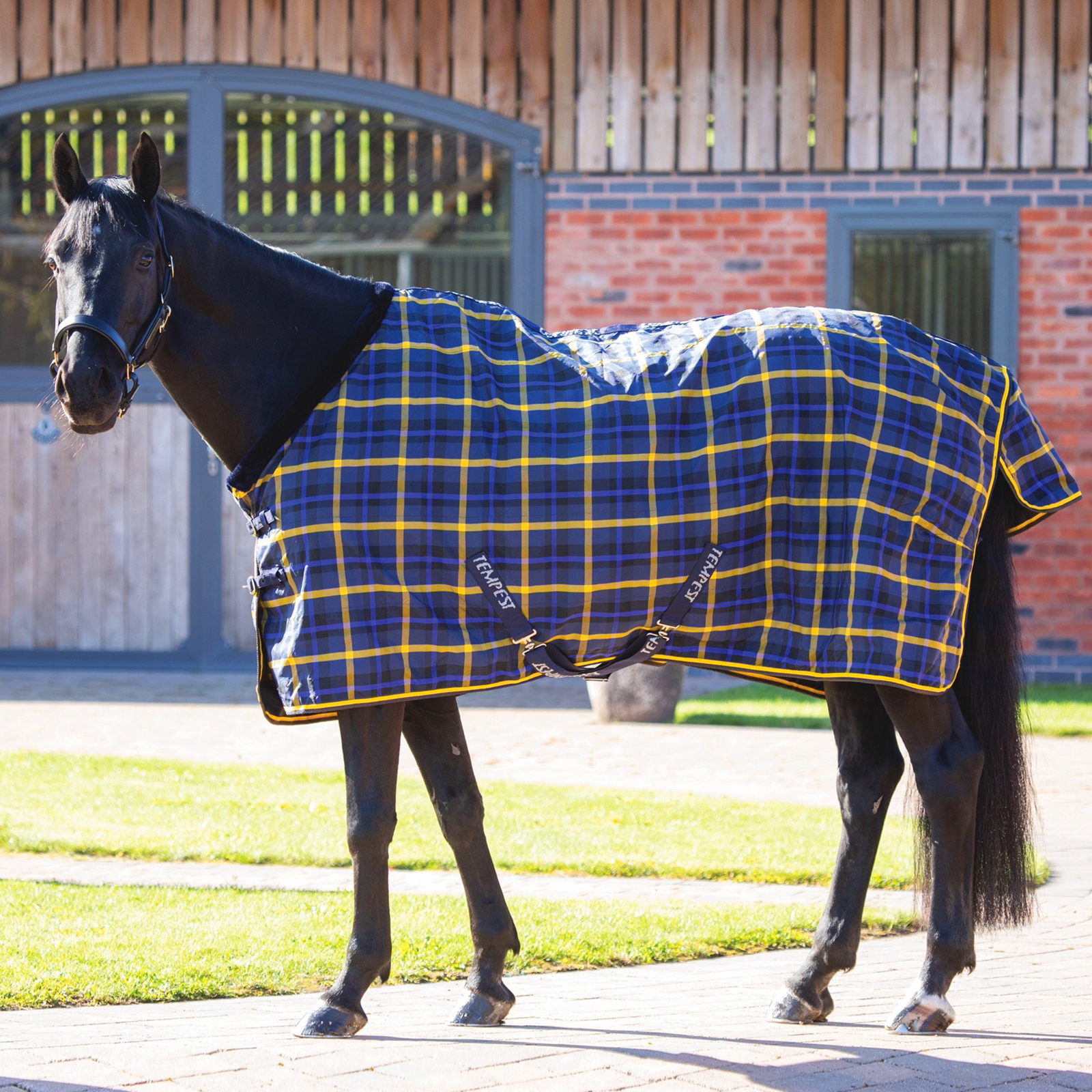 

Попона денниковая для лошади SHIRES TEMPEST Plus, 1200D, 130, синяя клетка, Синий