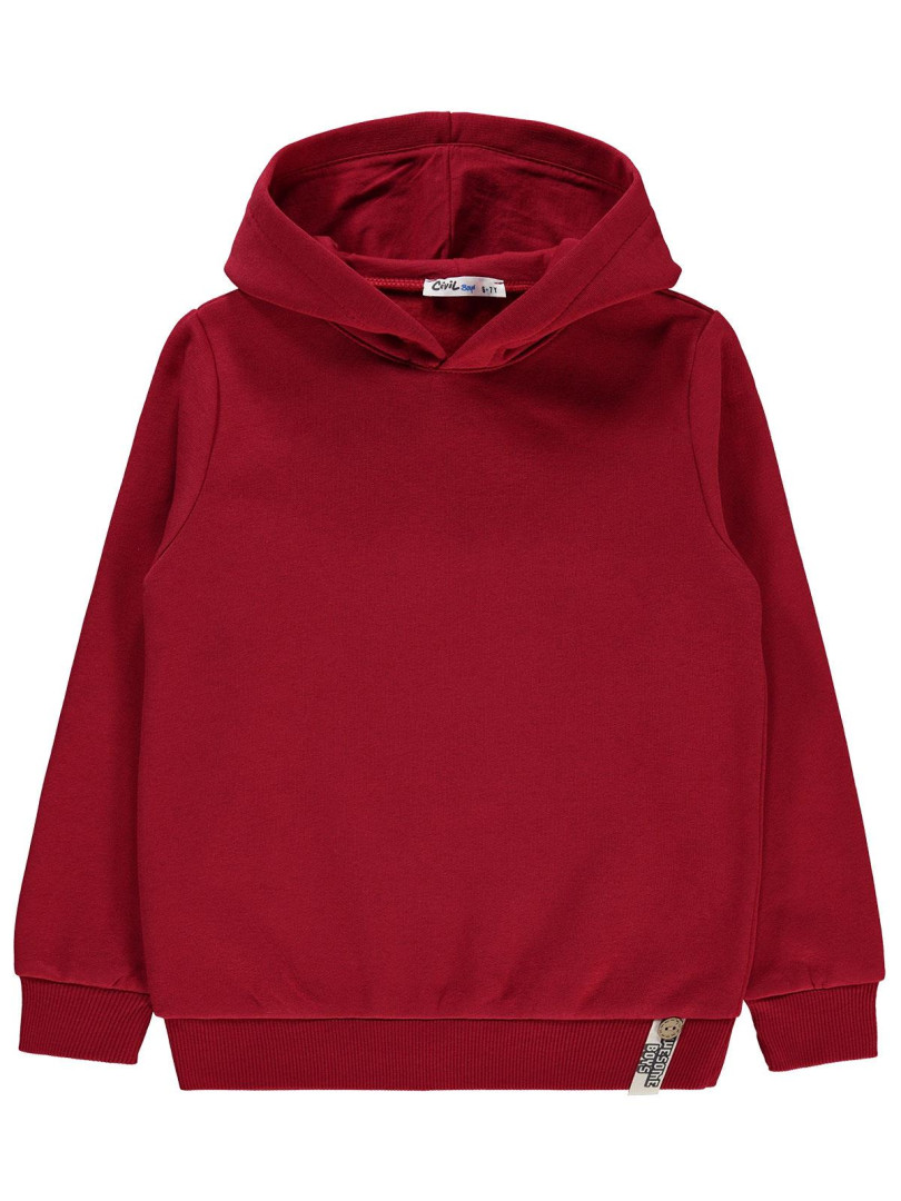 

Толстовка Civil Boys 19330E456K23-5 красный 10-11 лет (доставка из-за рубежа), 19330E456K23-5