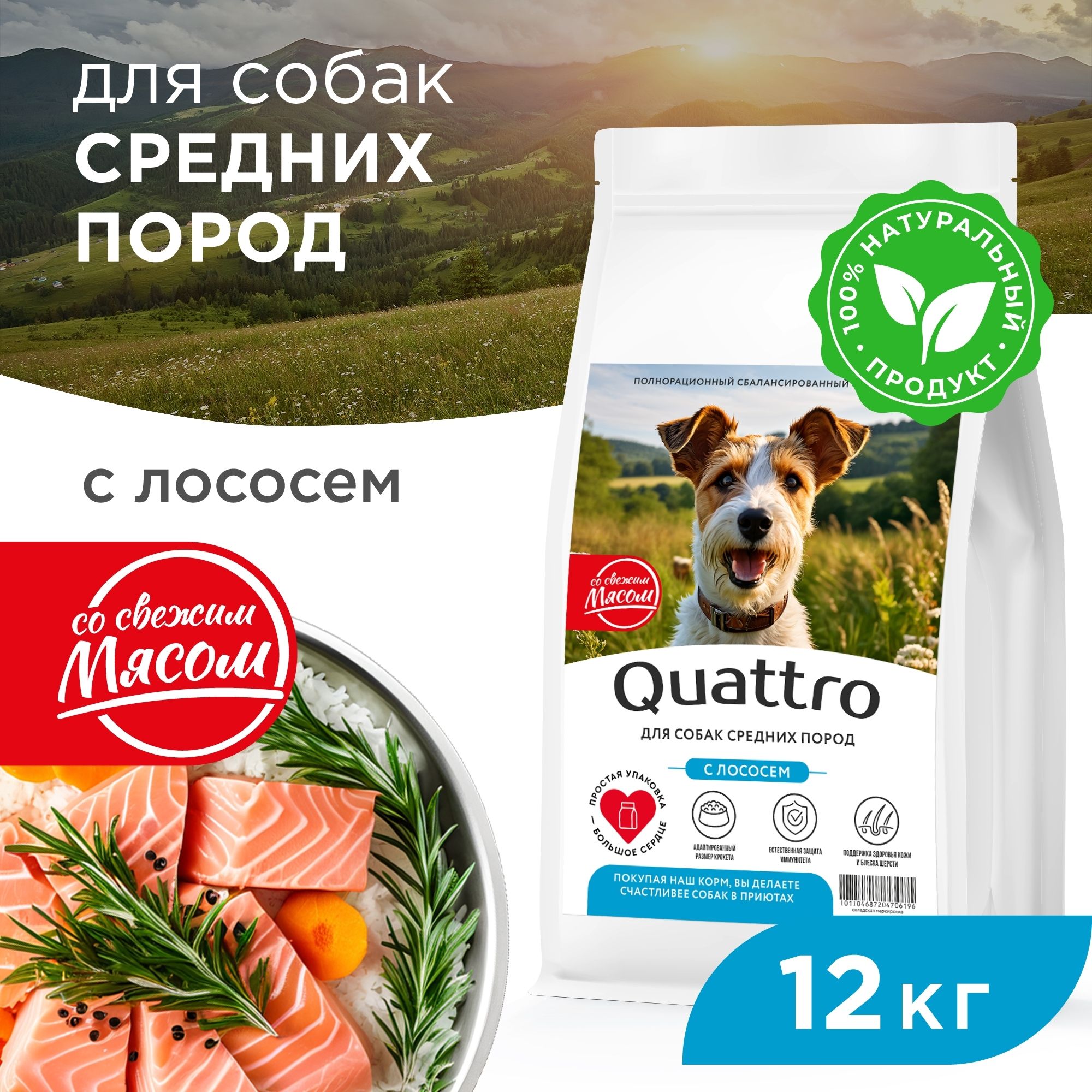 

Сухой корм для собак QUATTRO, для средних пород, лосось, 12 кг