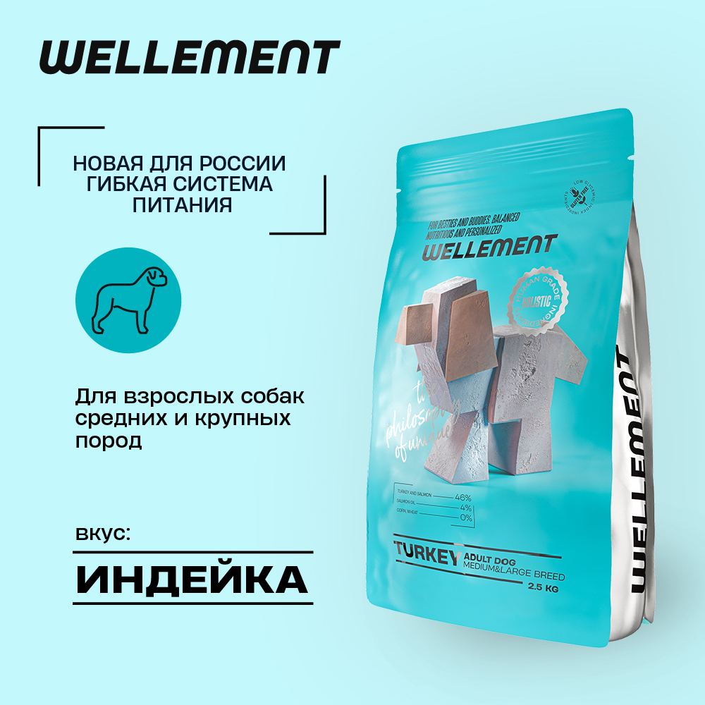 Сухой корм для собак Wellement средних и крупных пород, с индейкой, 2.5 кг